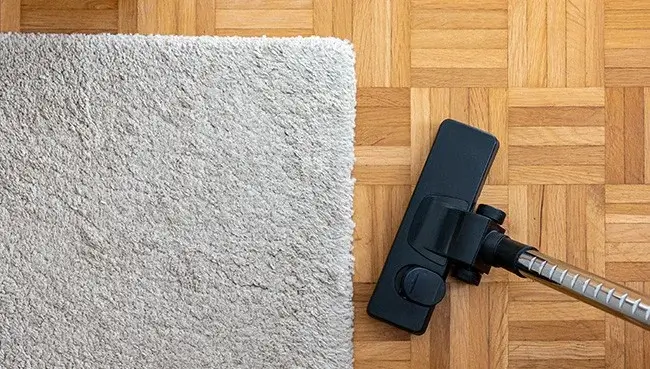 DailyCareRugs Rug care | Floors In Motion