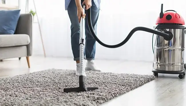 RugCareThumb Lady cleaning rug | Floors In Motion