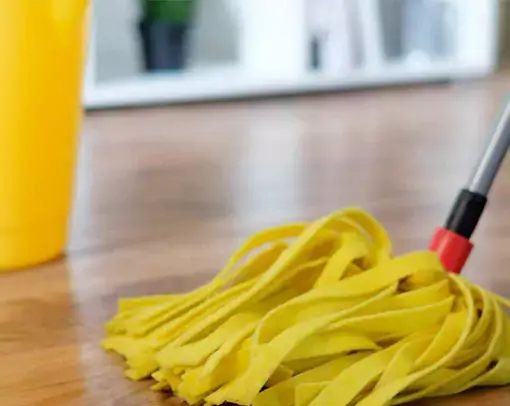 vinyl-daily-care Vinyl flooring | Floors In Motion